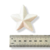 A small white polystyrene star-shaped object shown above a metal ruler on a white background, likely to indicate size in millimeters.