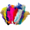 A collection of colorful craft feathers, varying in color and size, intended for use in projects such as dreamcatchers or Easter crafts.