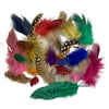 A collection of multi-colored polkadot feathers varying in size and color spread out on a white background.