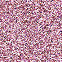 Ultra Fine Glitter 15 gram Vial x 12 pc - 0.2mm (1/128")