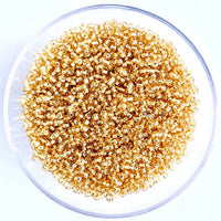 Seed Beads Size 10 - 500gm